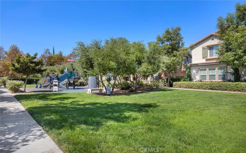 Playground and grass area for the kids or a picnic!