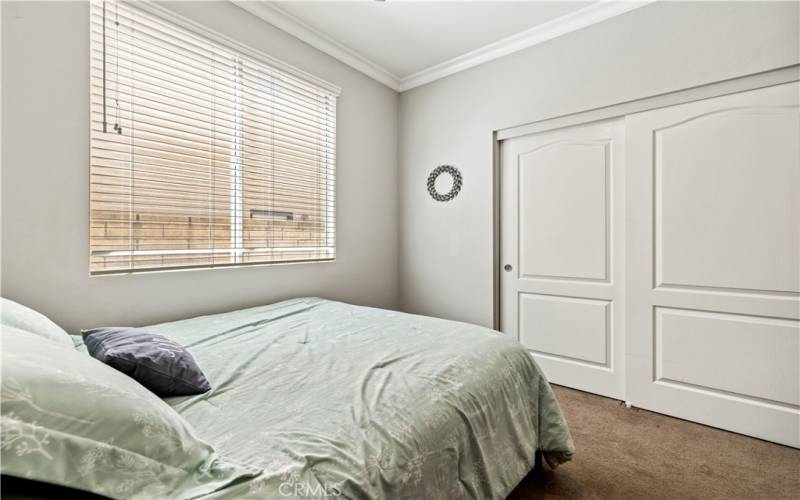 downstairs bedroom with closet