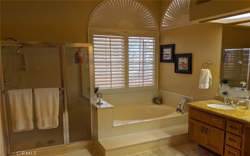 Master bathroom