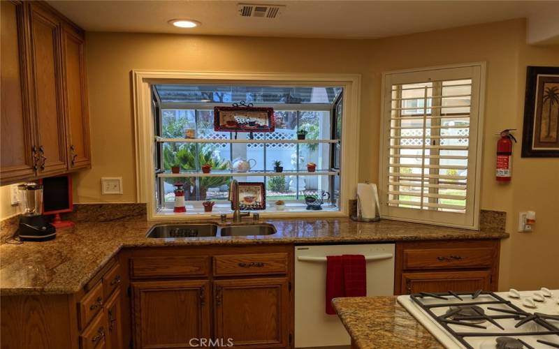 Kitchen garden window area