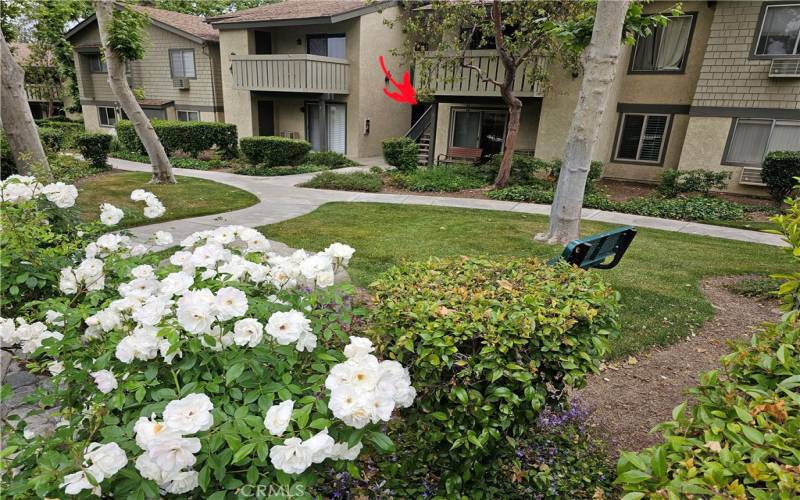 A lovely condo in a beautiful garden setting