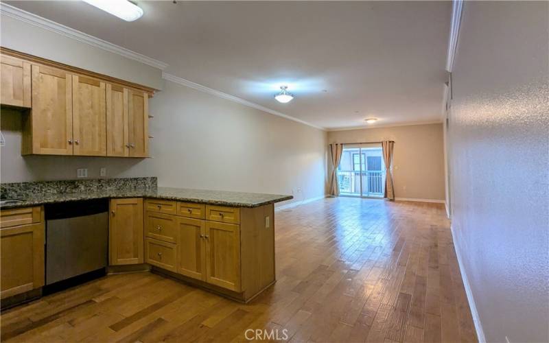 Breakfast counter, open area for dining and living room