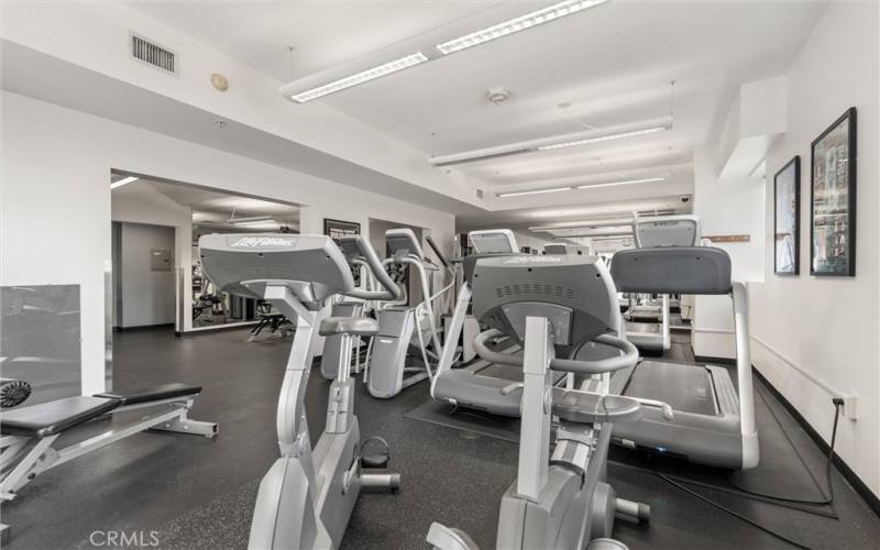 Gym with plenty of treadmills and elliptical machines