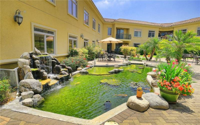 Koi Pond Courtyard