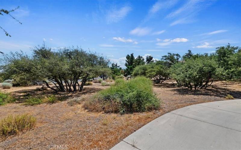 Natural landscape on driveway path