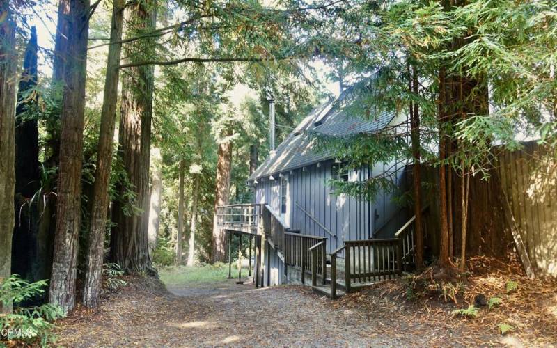 Driveway to Garage