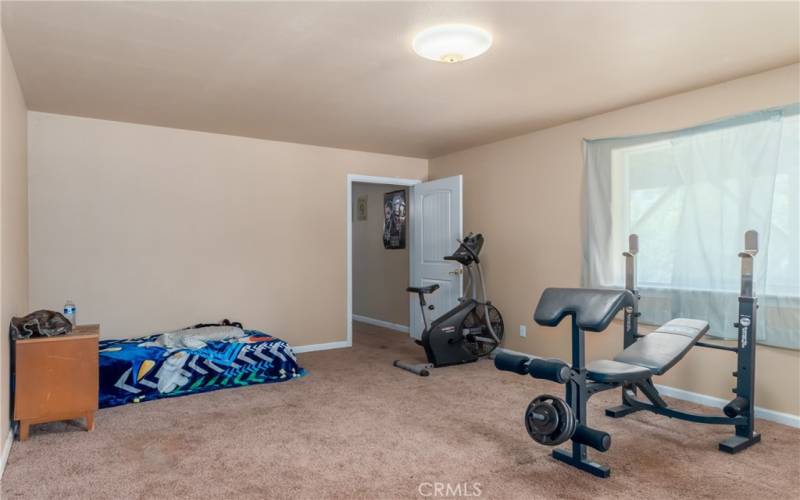 Downstairs bonus room or gym