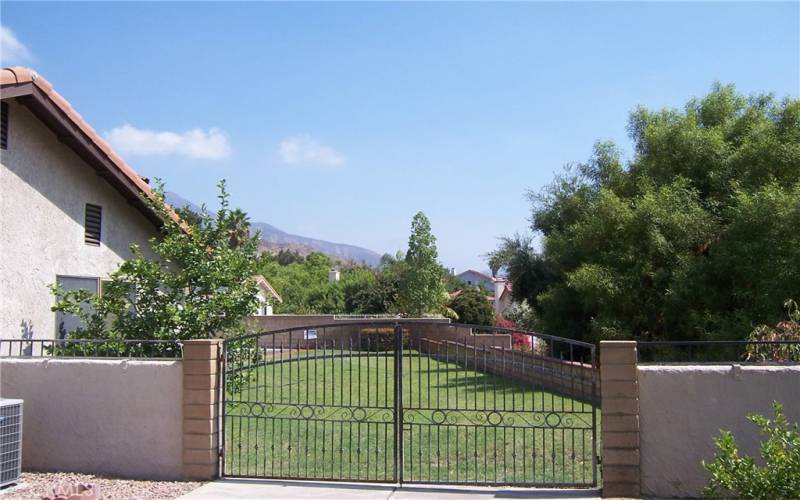 View to front yard from Back yard