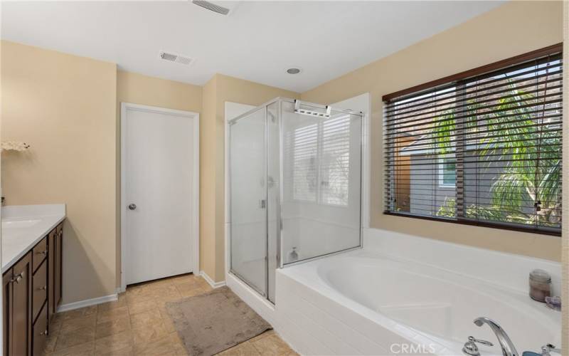 Master Tub & shower