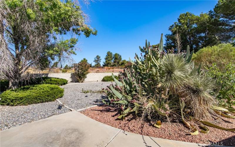 View looking north from your back patio.