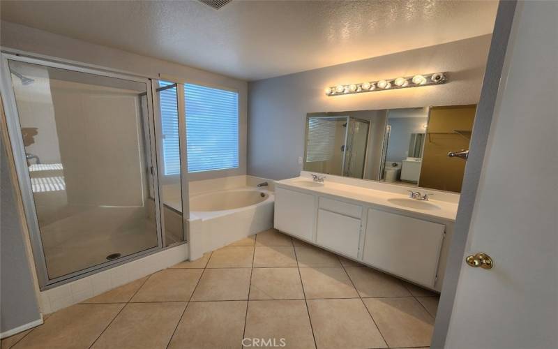 Main bathroom suite with soaking tub, dual sink vanity and oversized walk-in closet