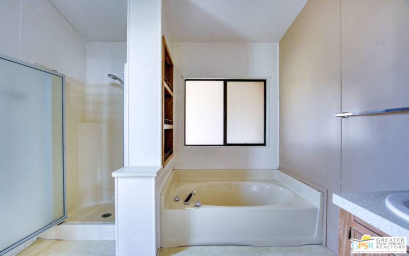 Primary bath tub