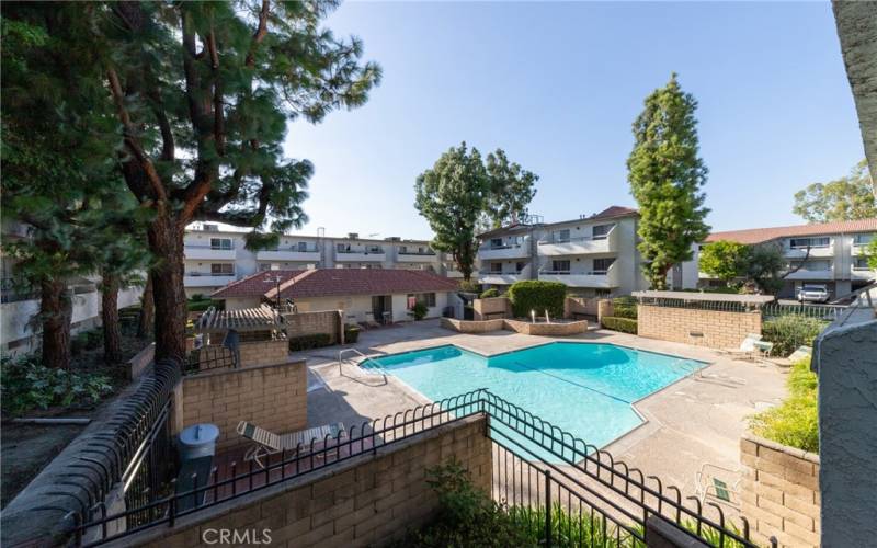 Pool & Jacuzzi