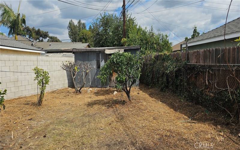 Additonal Fruit Trees