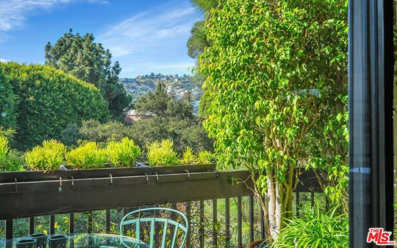 View of Hollywood Hills