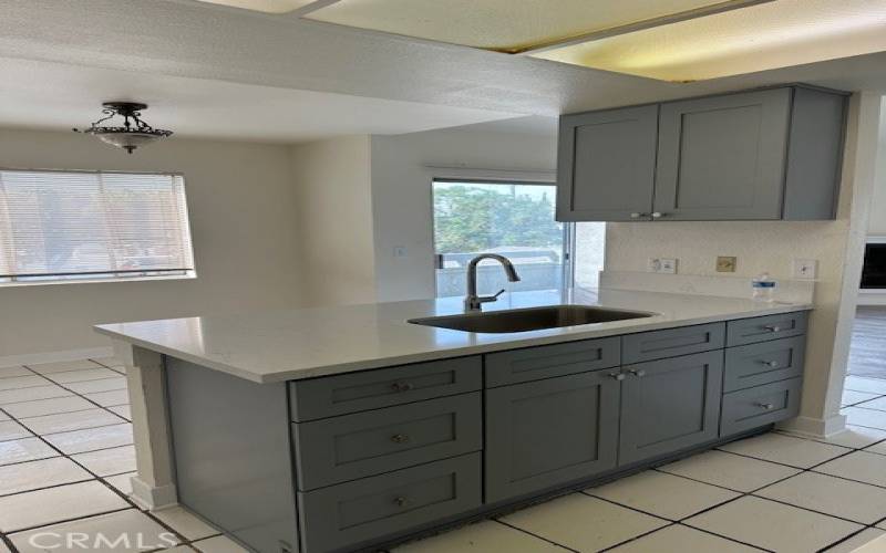 New Kitchen Cabinets; New Kitchen sink & new faucet