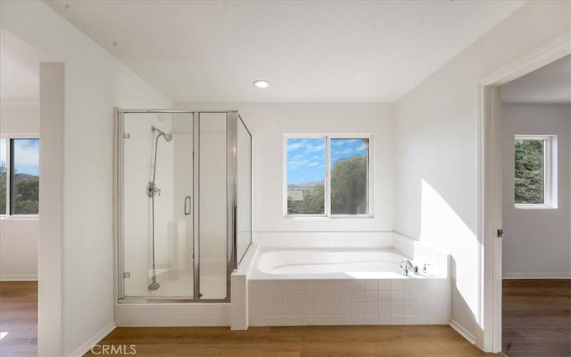 master bathroom tub shower