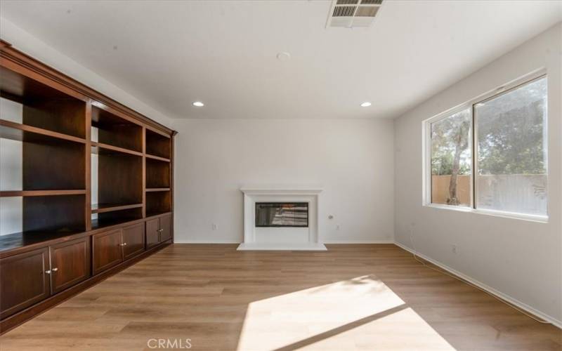 family room built in media center