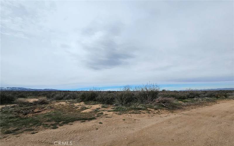 Looking West on Shasta Road at the Property