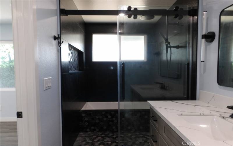 Main bath shower and separate tub with glass door