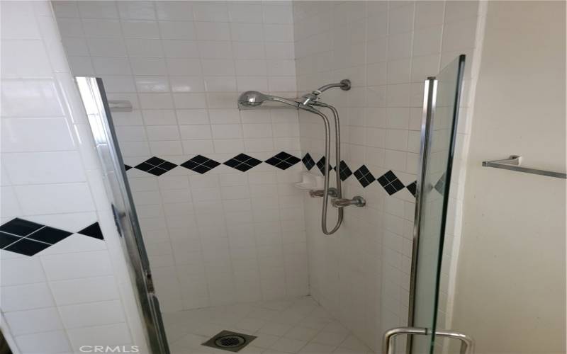 Master bedrooms shower with fine tile work.