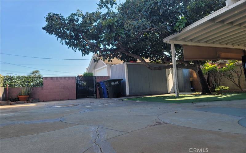 Nice open and fresh back yard, with patio and mature avocado tree that gives plenty of shade and delicious avocados. Also plenty of space to convert into more parking space like neighborhood across the street did. Facing the garage and driveway, on the other side of lovely brick wall.