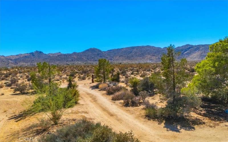 Driveway to your sanctuary.