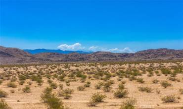 0 Wind Song Avenue, Joshua Tree, California 92252, ,Land,Buy,0 Wind Song Avenue,JT24196079