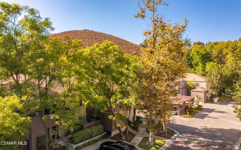 37 Via Colinas Westlake Village 91362