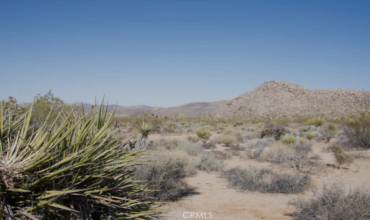 0 Hollywood Ln E, 29 Palms, California 92277, ,Land,Buy,0 Hollywood Ln E,JT24196123