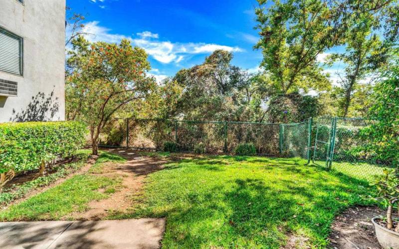 path towards river walking path.