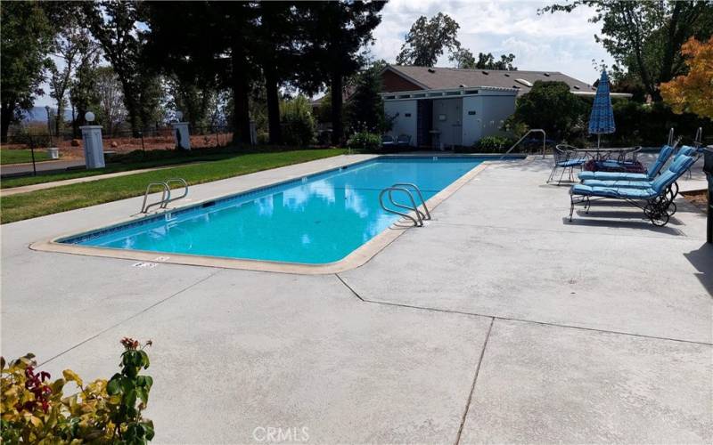 Clubhouse pool and back yard