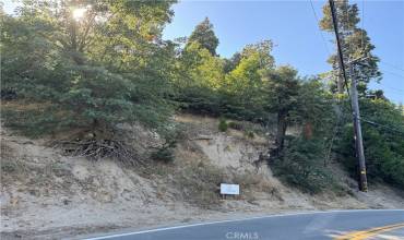 29602 Hook Creek Road, Cedar Glen, California 92321, ,Land,Buy,29602 Hook Creek Road,IV24196396