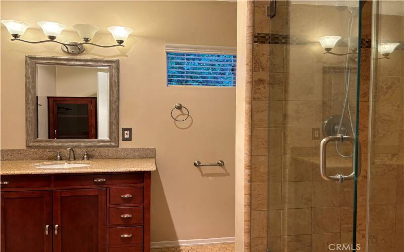 Primary bathroom with large stall shower