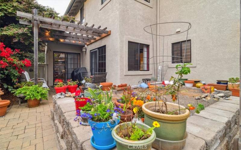 Backyard Patio