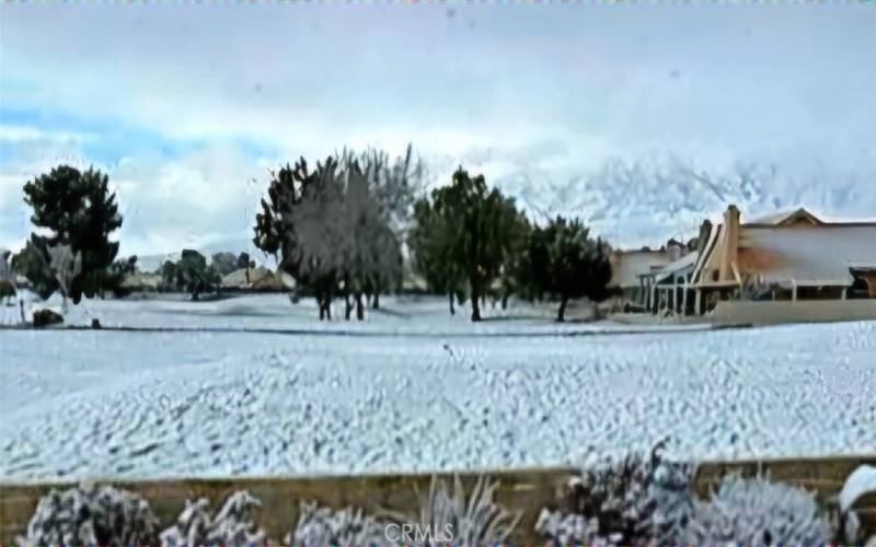 A rare snowing day in Sun Lakes  (view from patio)