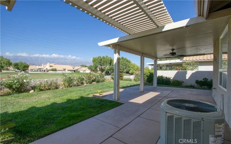 Nice grass and landscaping in large backyard