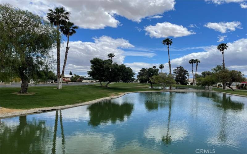 Multiple Lakes in the Resort