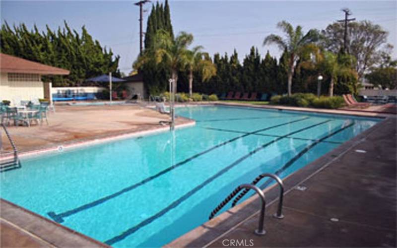 Swimming pool ~ Have fun swimming and/or water therapy~