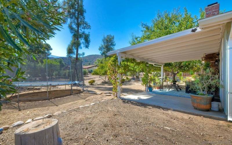 Backyard and patio