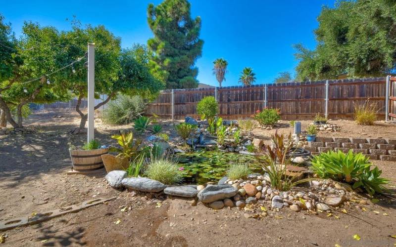 Pond in backyard