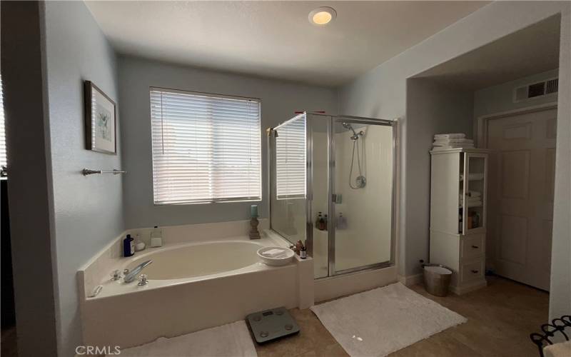 Master Bath - View #2