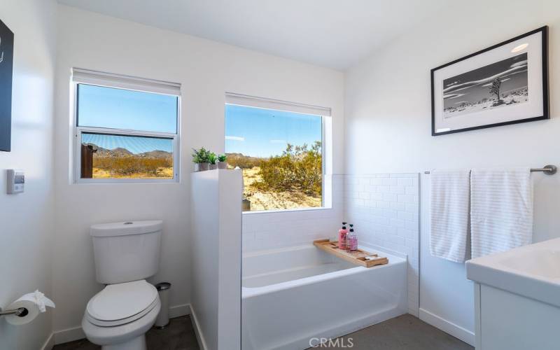 Main Bathroom Soaking Tub