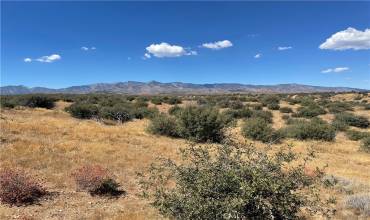 0 Barbet Lane, Phelan, California 92371, ,Land,Buy,0 Barbet Lane,CV24197075