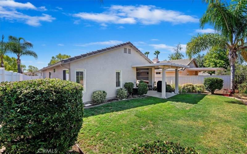 Back of Home with Grass Area and Mature Palms and Bushes