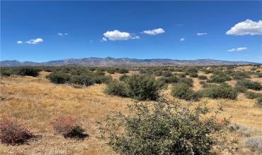 0 Barbet Road, Phelan, California 92371, ,Land,Buy,0 Barbet Road,CV24197096