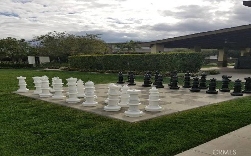 Lawn chess games, plus more!