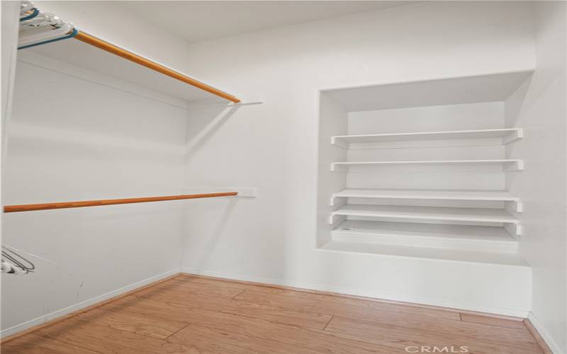 Walk-In Closet in Guest Bedroom