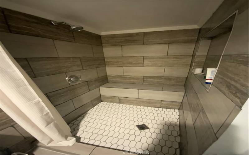 Lower Unit Shower in Bathroom