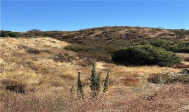 0 Koontz Road, Agua Dulce, California 91390, ,Land,Buy,0 Koontz Road,SB24197454